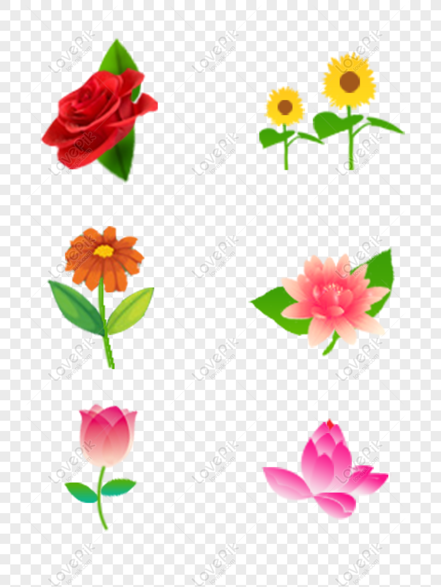Gratis Pintado A Mano Flores Rosas Girasoles Loto Tulipanes Pintados A PNG  & PSD descarga de imagen _ talla 6144 × 8215px, ID 832286351 - Lovepik