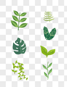 7 hijau tanaman merambat elemen tanaman mengatur ilustrasi png