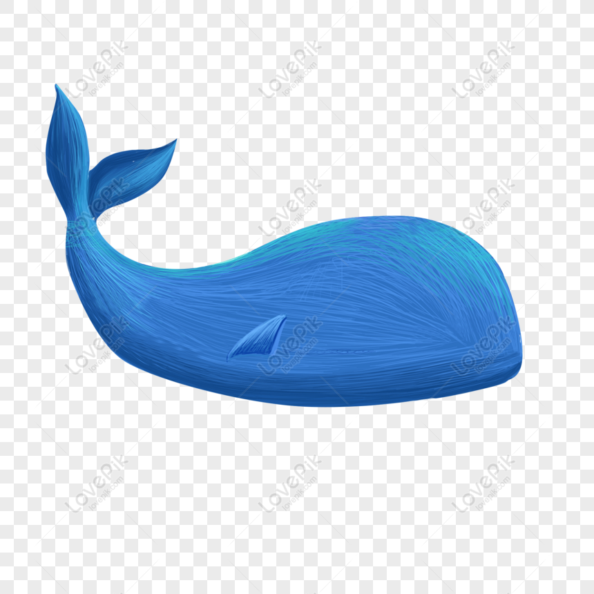 Gratuit Requin Baleine Dessin De Dauphin Bobine Plat Degrade Bleu Png Psd Telecharger D Image Taille 2000 2000px Id 832293580 Lovepik