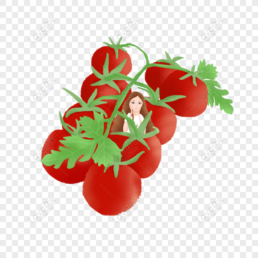 Free Cartoon Delicious Tomato Original Element PNG Image PNG & PSD image  download - Lovepik