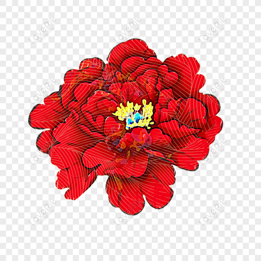 Hình ảnh Vẽ Tay Hoa Mẫu đơn Hoa đỏ PNG Miễn Phí Tải Về - Lovepik