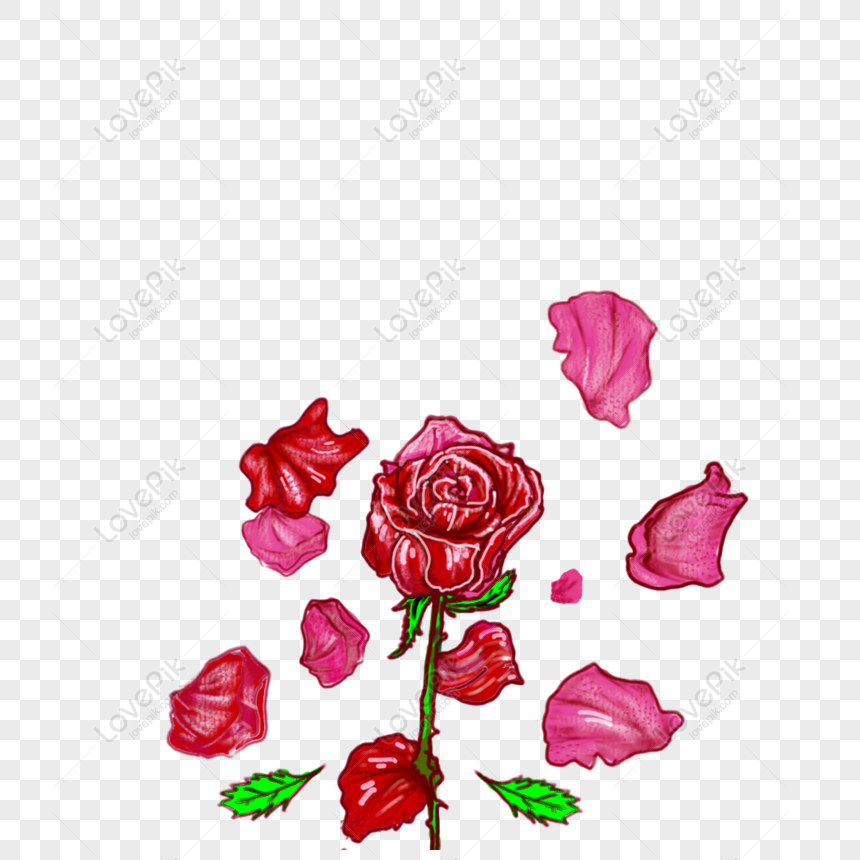 Việc vẽ cánh hoa hồng bằng tay là một nghệ thuật tuyệt vời. Hãy dành thời gian để vẽ từng nét và tạo ra những cánh hoa hồng đầy màu sắc và đẹp mắt. Bạn sẽ thấy rằng, vẽ cánh hoa hồng vẫn là một trong những kỹ năng tuyệt vời để có được trong cuộc sống.