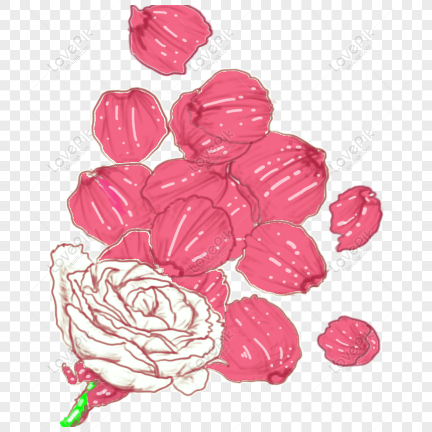 Gratis Pétalos De Rosas Blancas Pintadas A Mano Con Fondo Transparente PNG  & PSD descarga de imagen _ talla 1024 × 1024px, ID 832334016 - Lovepik