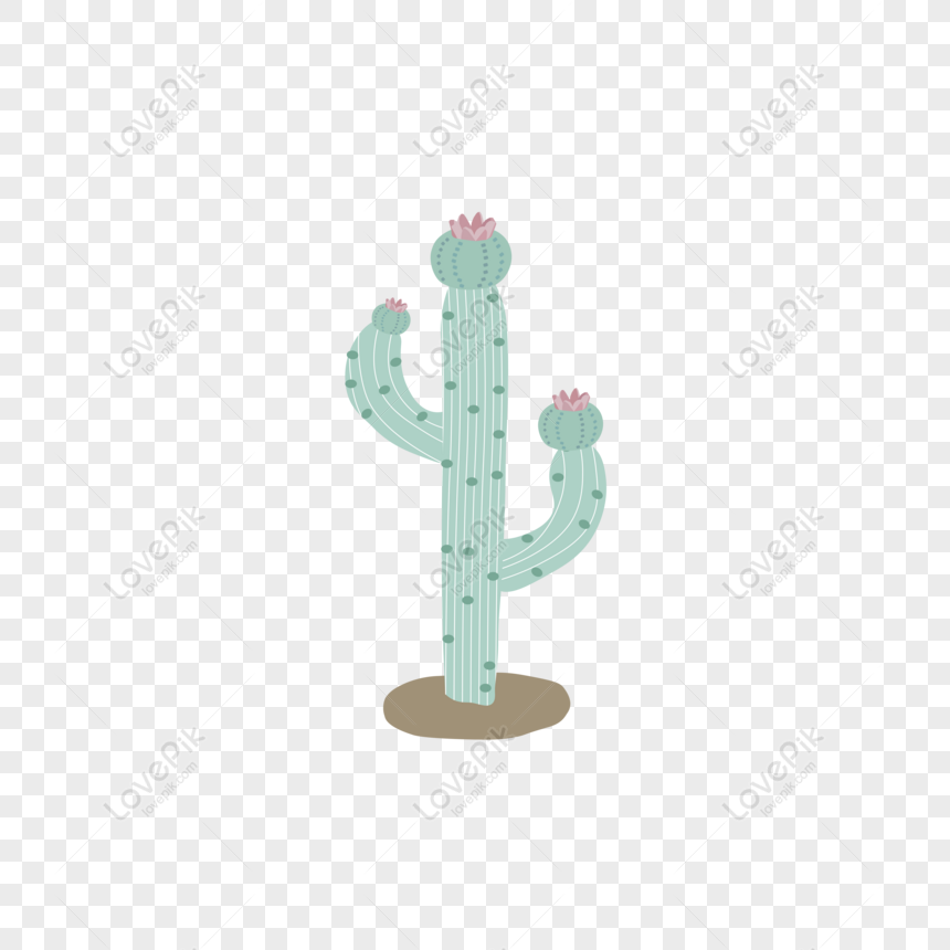 Flor, Cactus, Pintados à Mão PNG, Gráfico De Vetor De Flores De