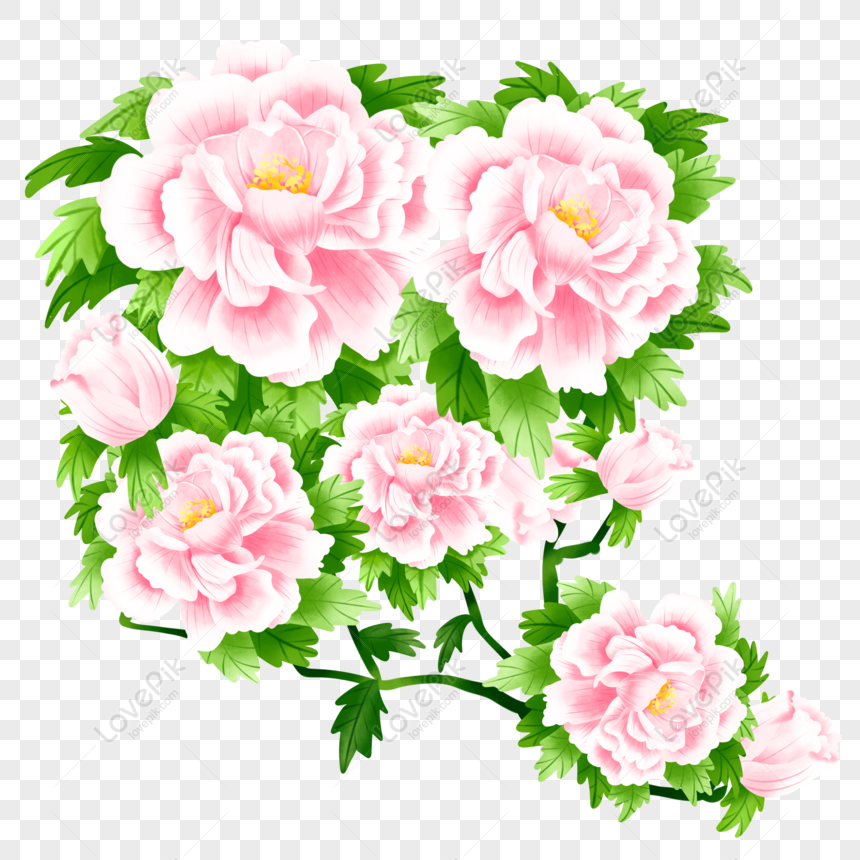 Gratis Elemento Floral Botánico De La Mano De La Flor De La Peonía De L PNG  & PSD descarga de imagen _ talla 4000 × 4000px, ID 832338898 - Lovepik
