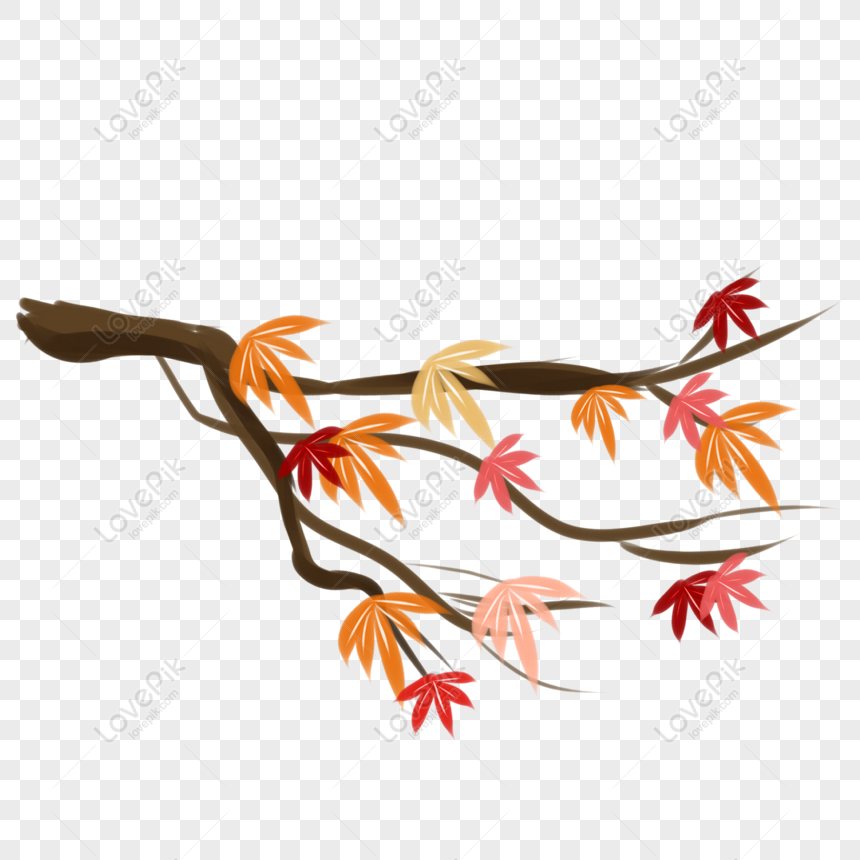 가을의 나무 가을의 단풍 나무 단풍 나무 손으로 그린 일러스트 요소 Png 일러스트 무료 다운로드 - Lovepik