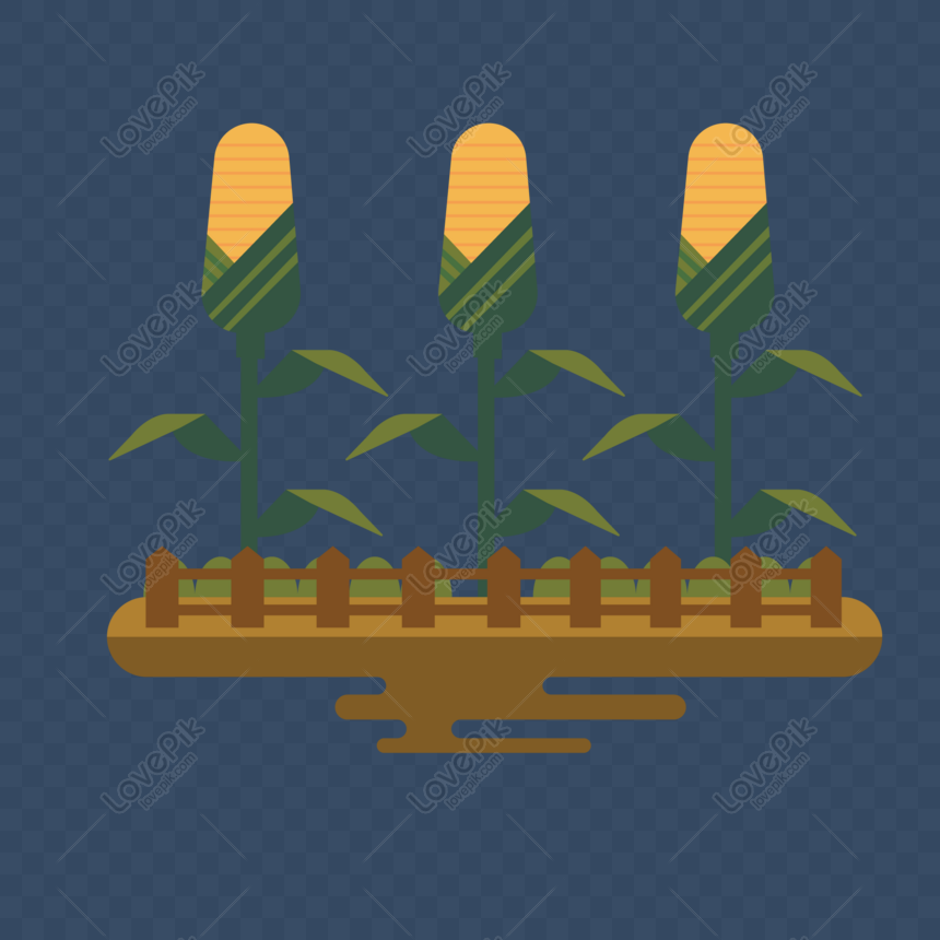 free cartoon hand drawn cornfield vector png ai image download size 2000 2000 px id 832344360 lovepik cartoon hand drawn cornfield vector png