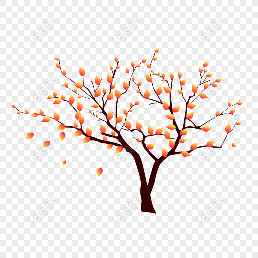 Xem ngay vẽ cây mùa thu với nhiều màu sắc