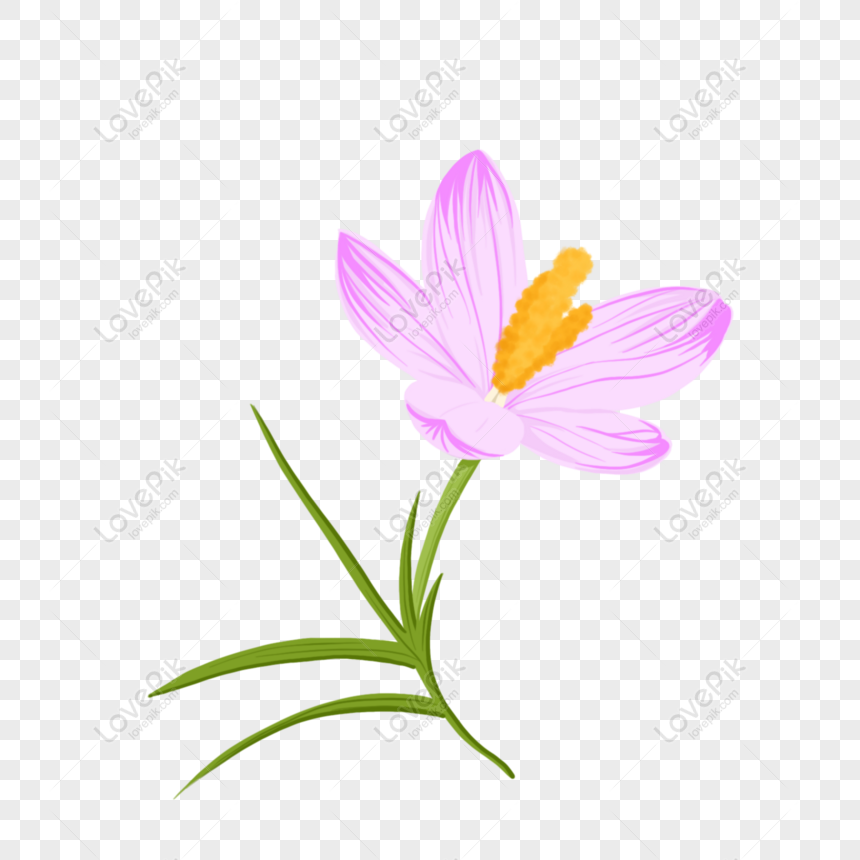 Gratis Elemento Botánico Dibujado A Mano Campanilla PNG & PSD descarga de  imagen _ talla 2000 × 2000px, ID 832351408 - Lovepik