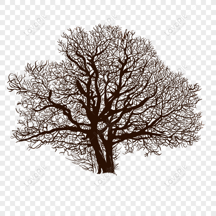 Gratis Árbol De Otoño Dibujado A Mano Blanco Y Negro Tronco De árbol PNG &  PSD descarga de imagen _ talla 2000 × 2000px, ID 832352137 - Lovepik