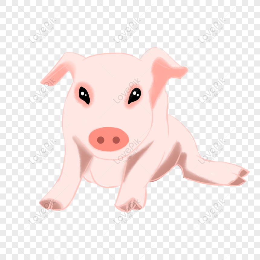 Free Pig Cartoon Simulation Cute Animal Hand Drawn PNG Transparent PNG &  PSD image download - Lovepik