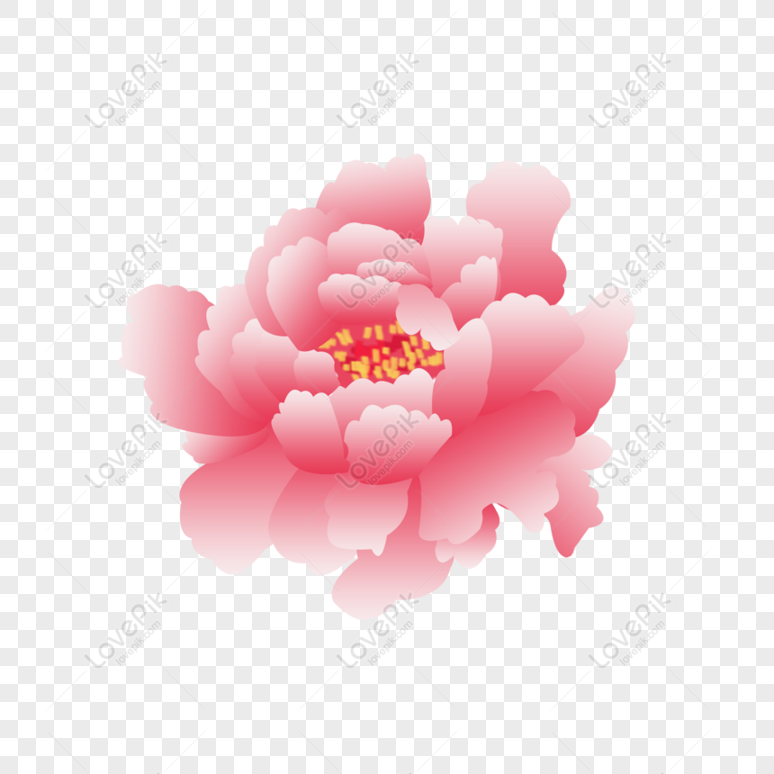 Hình Ảnh Hoa Mẫu Đơn Vẽ Hoa Mẫu Đơn Hoa Mẫu Đơn Màu Đỏ Hoa Mẫu Đơn Png Miễn  Phí Tải Về - Lovepik