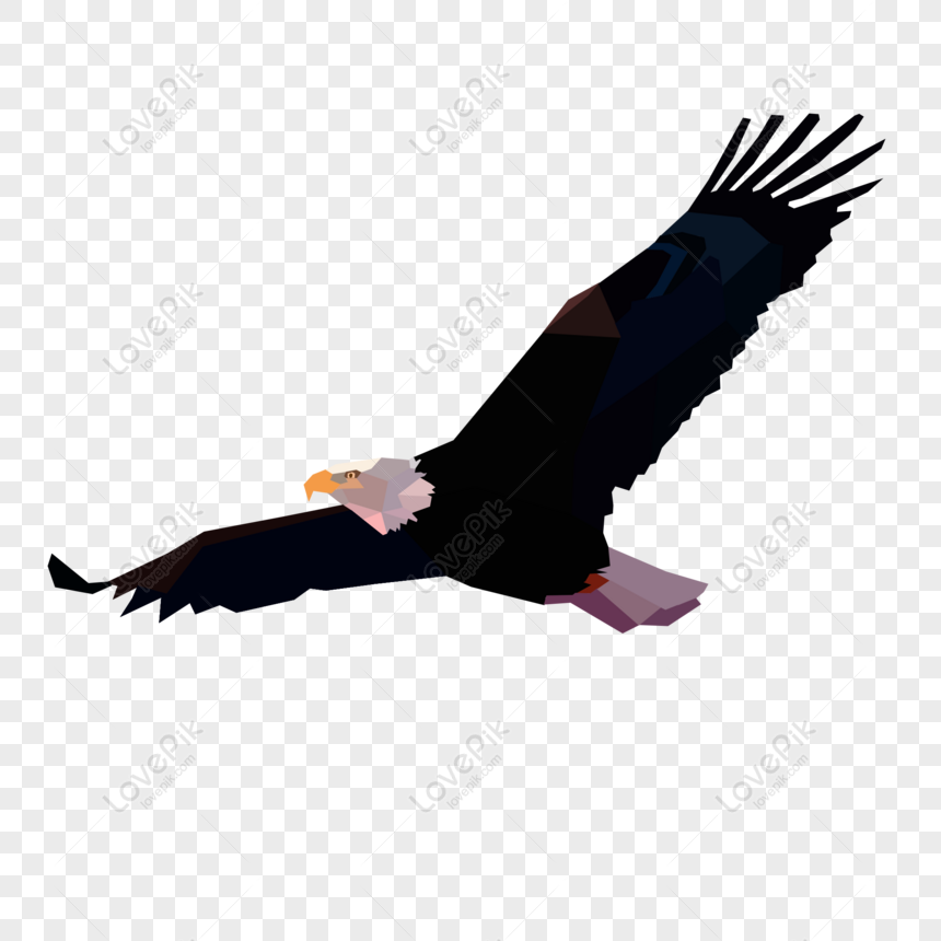 Gratis Vector Animal Elemento águila PNG & PSD descarga de imagen _ talla  2000 × 2000px, ID 832363570 - Lovepik