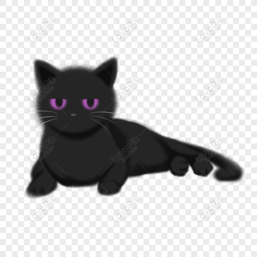 Black Kitten transparent background 12893813 PNG