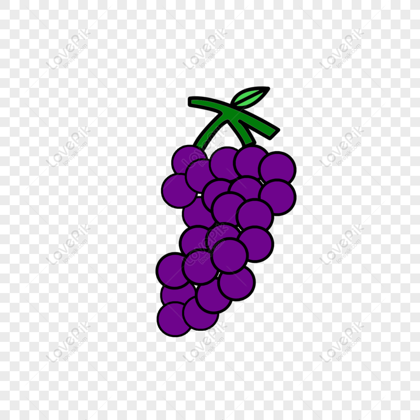 Free Purple Cute Cartoon Creative Simple Fruit Grape PNG Hd Transparent  Image PNG & PSD image download - Lovepik