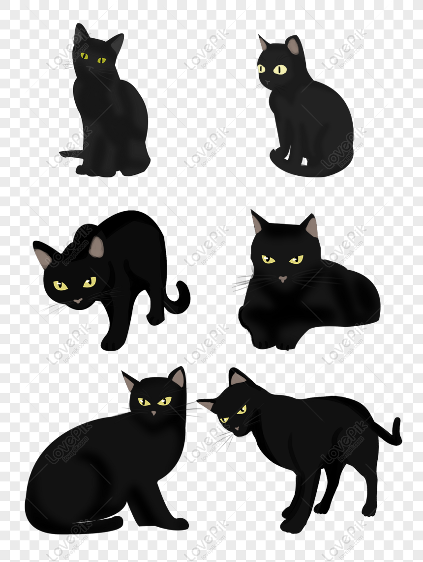 Halloween chưa bao giờ tràn ngập niềm vui đến thế với hình ảnh mèo đen bí ẩn và duyên dáng. Hãy xem ảnh mèo đen trong Halloween để cảm nhận không khí ma quái và đầy hứng khởi của lễ hội.