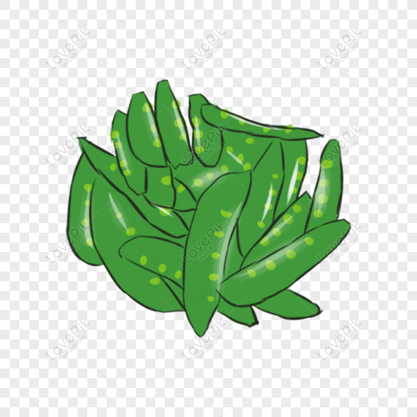 Free Hand Drawn Vegetable Peas Decorative Elements PNG Hd Transparent ...