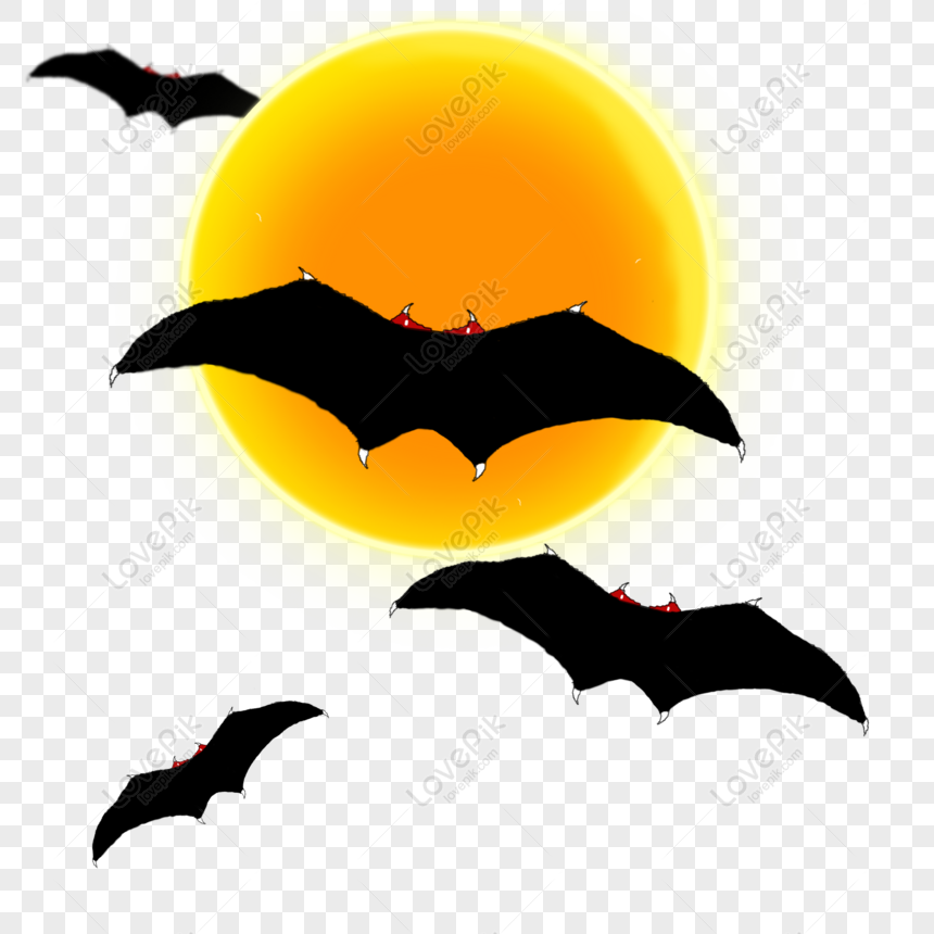 conjunto de morcegos de halloween 12708030 PNG