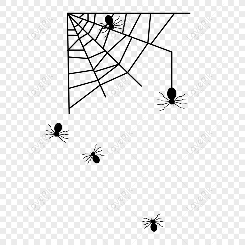 Halloween đang đến gần, hãy đón chào ngày lễ hội với bức ảnh mạng nhện đen đầy kịch tính này! Với phần trang trí mạng nhện chắc chắn sẽ làm cho không gian của bạn trở nên đặc biệt và đáng nhớ.