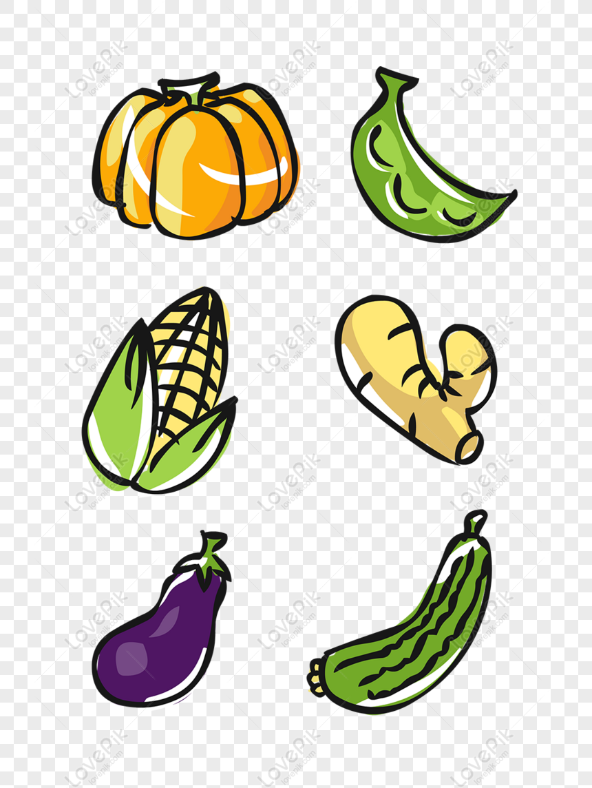 Gambar Sayur  Sayuran  Animasi  HOBI SAYUR 