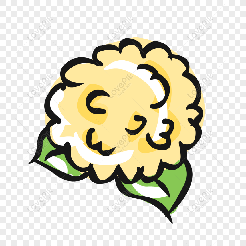Free Food Elements Hand Drawn Cute Cartoon Vegetable Cauliflower PNG  Transparent Image PNG & AI image download - Lovepik