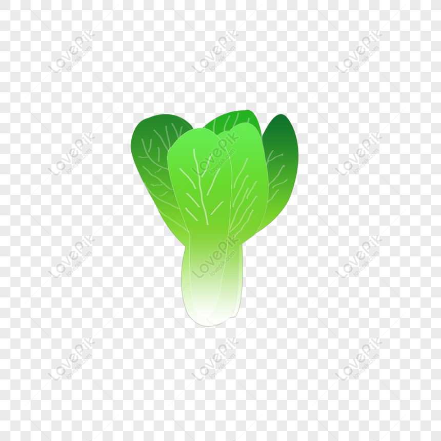 Desenho de vegetais Cartoon frutas, vegetais, alimentos, folha, cebola png