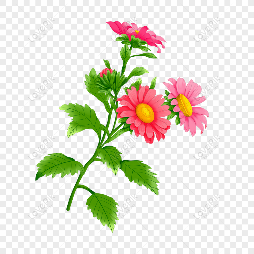 Gratis Flores Dibujadas A Mano Y Diseño De Flores PNG & PSD descarga de  imagen _ talla 2000 × 2000px, ID 832402324 - Lovepik