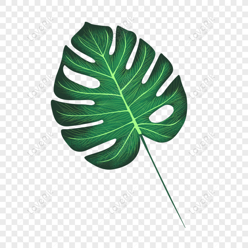 Free Hand Painted Noise Green Leaf Element Monstera Leaf Decoration P ...