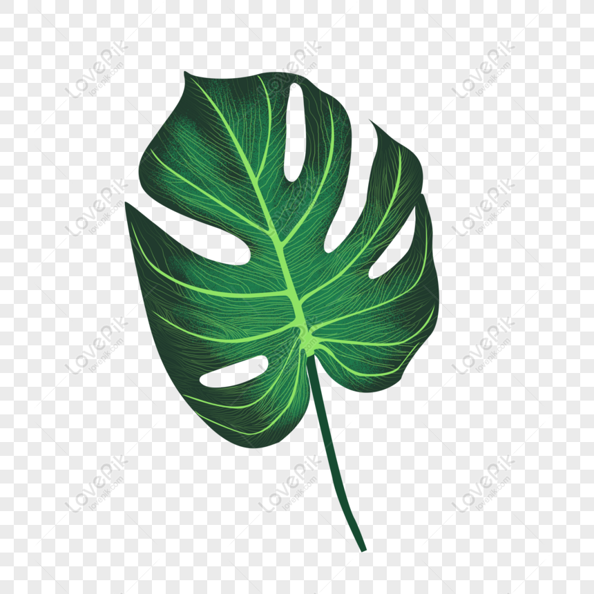 Free Hand-painted Noise Green Leaf Element Monstera Leaf Decoration P ...