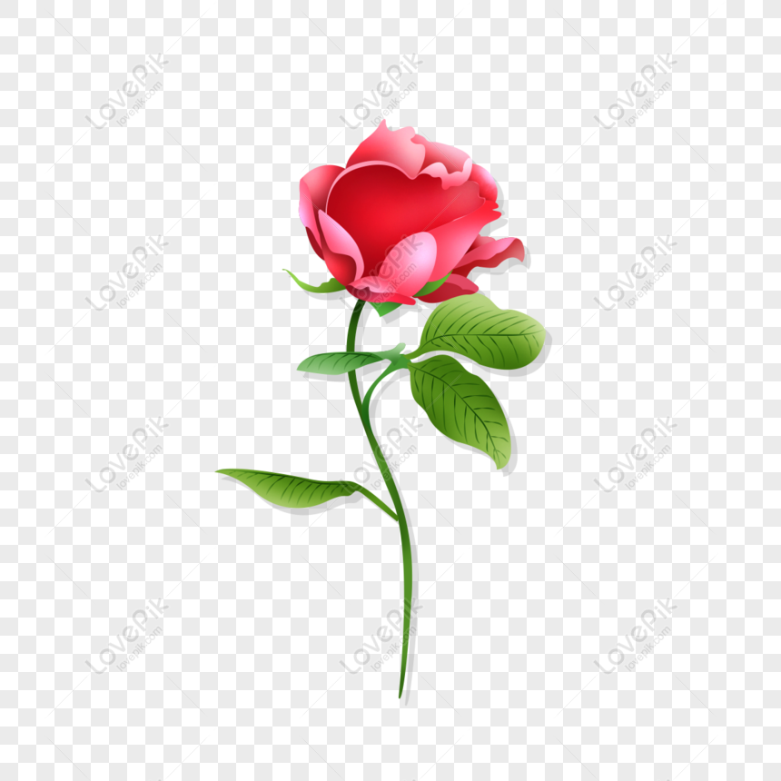ベクトル手描きの赤いバラの花 商業の要素 Png Psd無料画像ダウンロード 素材サイズ1181 1181px Id Lovepik