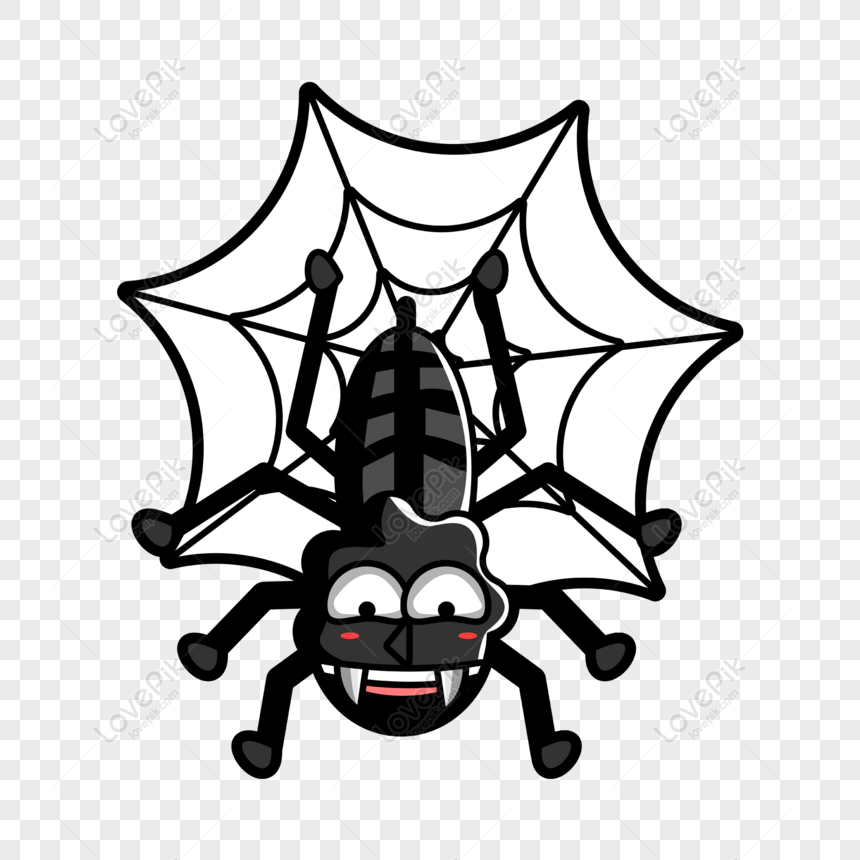 spider vector free download