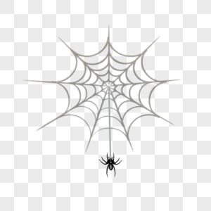 Hand Drawn Spider Web PNG Images With Transparent Background | Free  Download On Lovepik