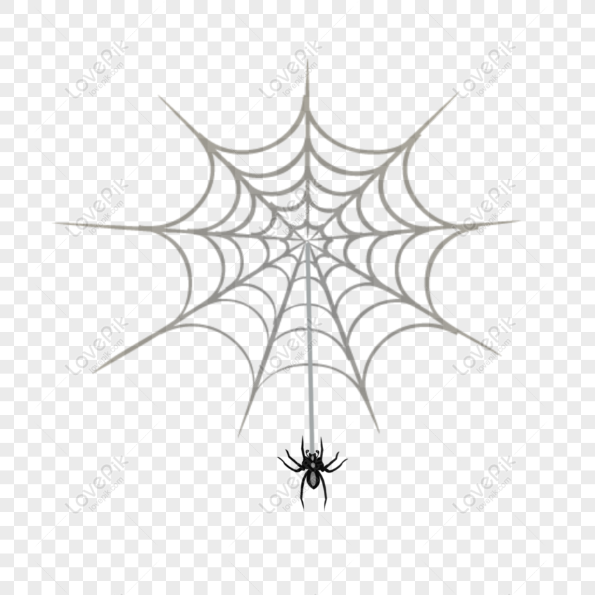 Free Hand Drawn Cartoon Spider Web Spider Minimalistic Halloween Deco PNG  Image PNG & PSD image download - Lovepik
