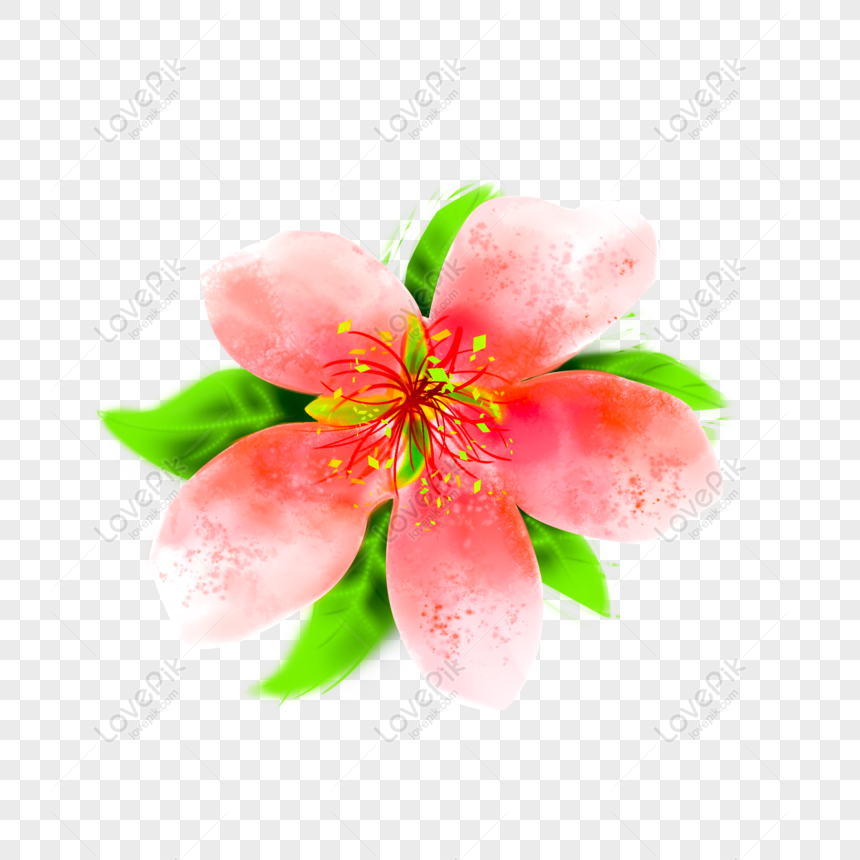 Vẽ hoa đào màu nước là một kỹ thuật hoàn hảo để tạo ra một bức tranh hoa đẹp mắt. Hãy chiêm ngưỡng bức tranh hoa đào của chúng tôi và tìm hiểu cách vẽ một bức hoa đào tuyệt đẹp với kỹ thuật màu nước.