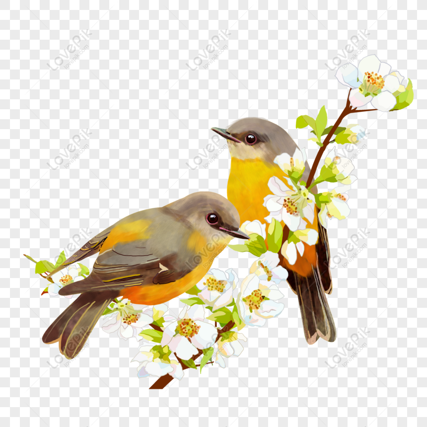 Free Bird Cartoon Character On White Flower Branch Free PNG PNG & PSD image  download - Lovepik