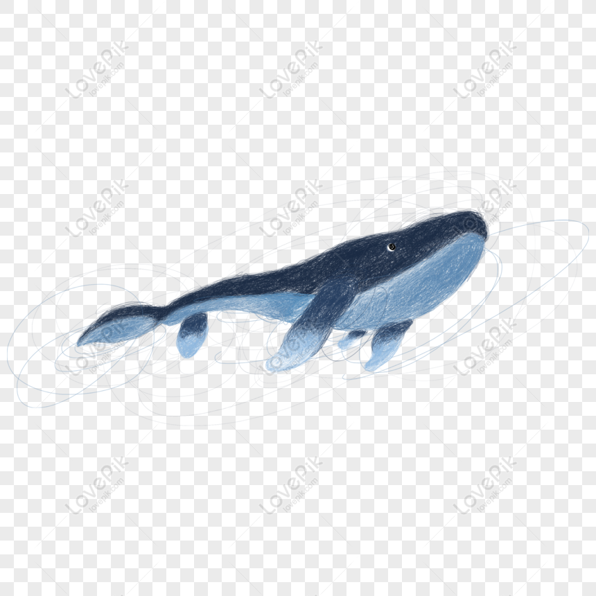 Lovepik 832453709 Id 2000 2000px الصور تحميل مجاني الحوت الأزرق عنصر الكرتون دوار إلى داخل ال التعريف المحيط Png Psd بحجم