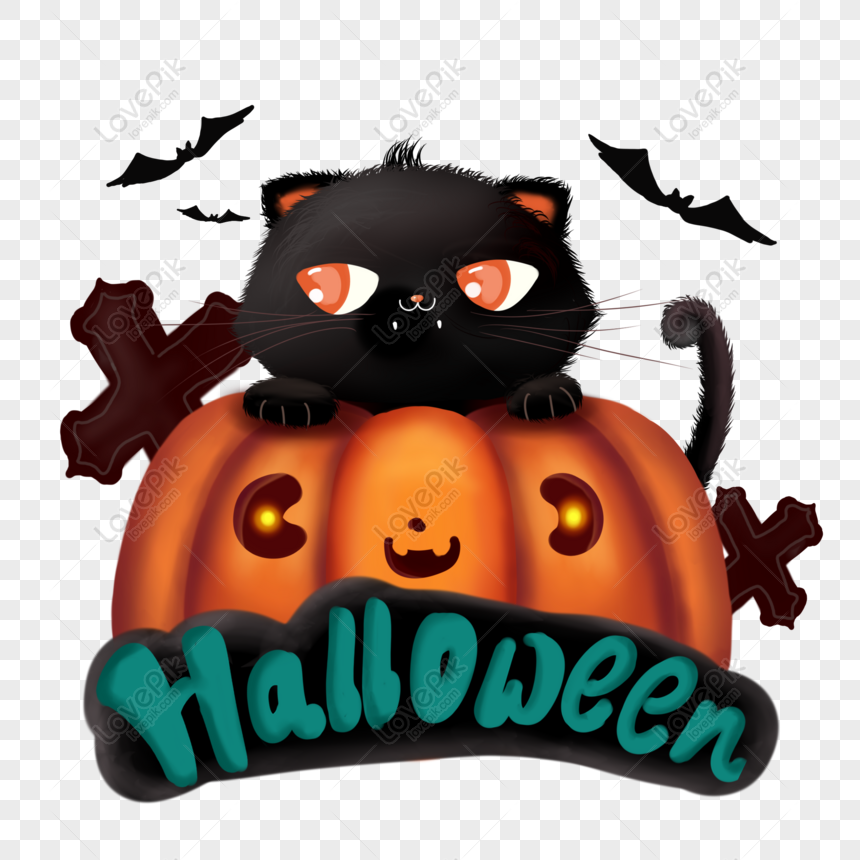 Halloween đang đến gần và có lẽ không có thứ gì đáng sợ bằng một chú mèo đen với đôi mắt lấp lánh. Hãy cùng đến với hình ảnh này và đắm chìm trong không khí của đêm Halloween với chú mèo đen đáng yêu này.