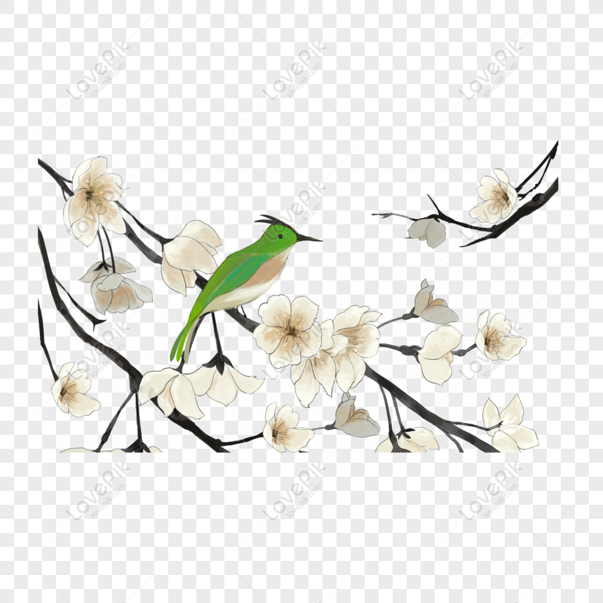 Gratis Elemento De Dibujos Animados De Flor Blanca Rama Pájaro Verde PNG &  PSD descarga de imagen _ talla 2000 × 2000px, ID 832455227 - Lovepik