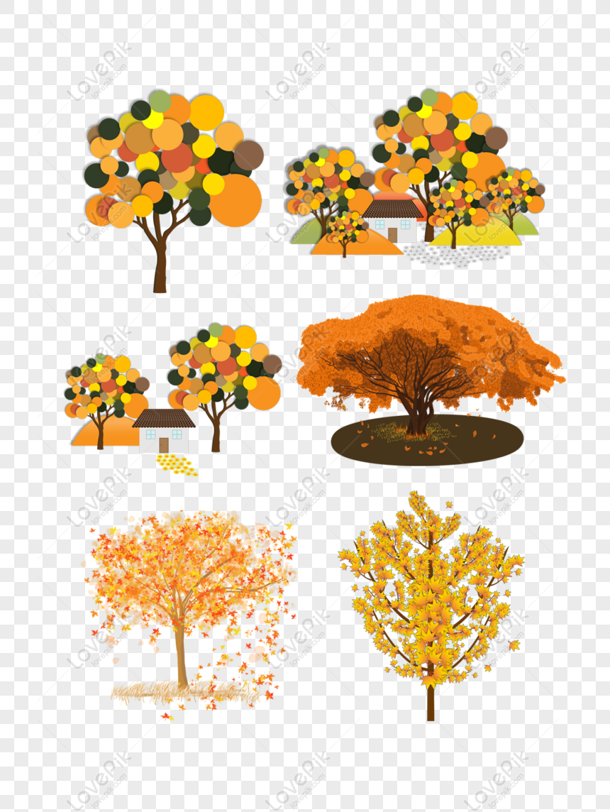가을 황금 나무 낙엽 식물 벡터 자료 수집 Png 일러스트 무료 다운로드 - Lovepik