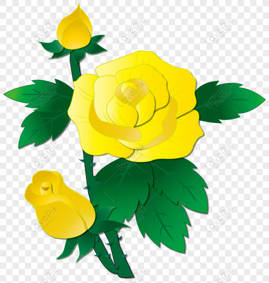 Gratis Flor Pintada A Mano Flores Amarillas Rosa Amarilla Elementos Com PNG  & AI descarga de imagen _ talla 1278 × 1345px, ID 832457150 - Lovepik