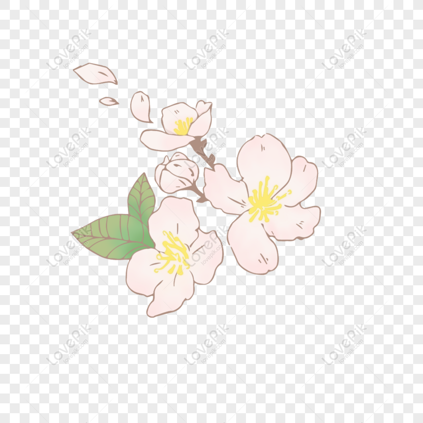 Free Simple Hand Painted Antique Pink Peach Flower Element PNG ...
