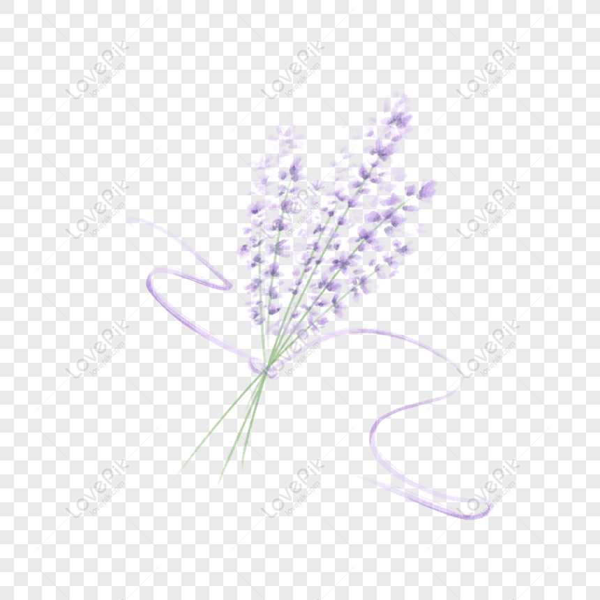Hãy cùng thơm thảo và nhẹ nhàng hòa mình vào vẻ đẹp của những bông hoa oải hương với bức tranh vẽ hoa oải hương tuyệt đẹp. Màu tím dịu dàng, hương thơm nhẹ nhàng sẽ đưa bạn vào một thế giới mộng mơ, thư giãn sau một ngày dài làm việc. (Let\'s immerse ourselves in the beauty and gentle fragrance of lavender flowers with a beautiful painting of lavender flowers. The gentle purple color and delicate fragrance will take you into a dreamlike world, relaxing after a long day of work.)