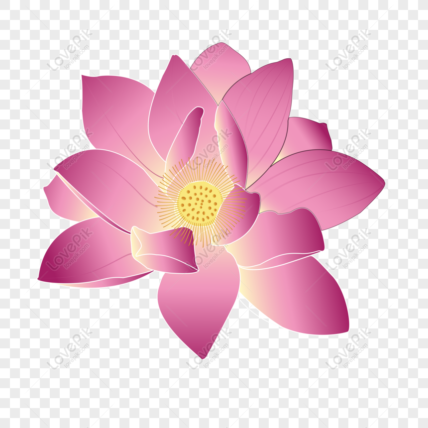 Hoa sen vector là một tác phẩm nghệ thuật độc đáo, mang đến một cái nhìn mới mẻ về loài hoa truyền thống của Việt Nam. Hãy tìm hiểu thêm về nó để có thể chiêm ngưỡng những đường nét tinh tế và sắc sảo.