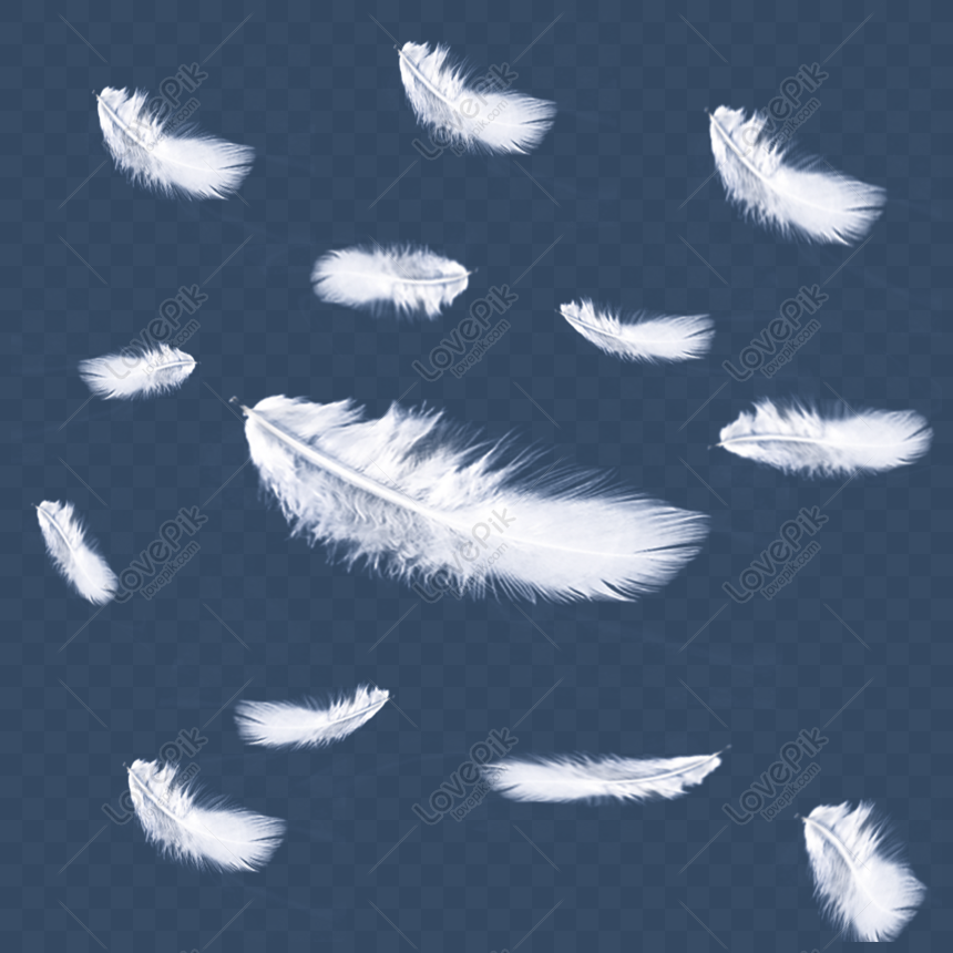 白い透明な羽を持つフローティング羽 イラスト フローティング 羽 白 フリー素材 透過 Lovepik