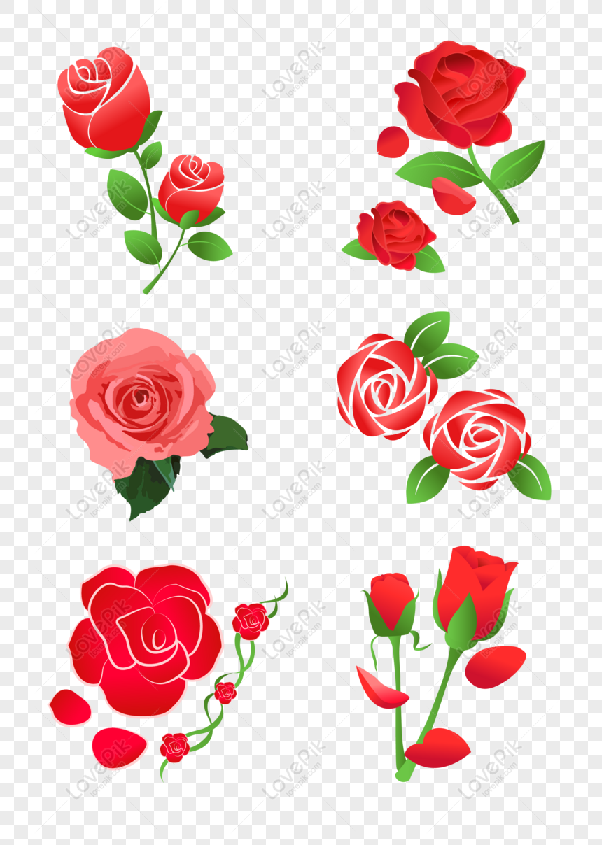 Hãy chiêm ngưỡng vẻ đẹp ngọt ngào và quyến rũ của hoa hồng màu đỏ trong bức ảnh này. Điểm nhấn đặc biệt của hoa hồng màu đỏ chính là sự gắn kết, tình yêu và đam mê mãnh liệt. Nét đẹp hoàn hảo của chúng sẽ làm cho bạn chìm đắm trong cảm xúc đầu tiên.