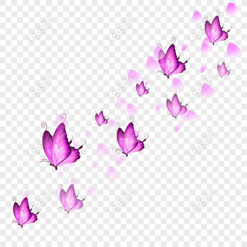 grátis borboleta rosa pétalas de rosa flutuando no céu png psd de