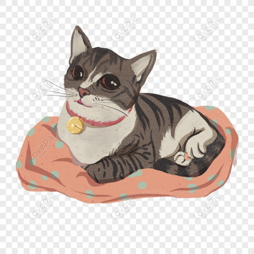 Gratis Lindo Nido De Gato En Ropa Elementos Originales PNG & PSD descarga  de imagen _ talla 2000 × 2000px, ID 832491733 - Lovepik