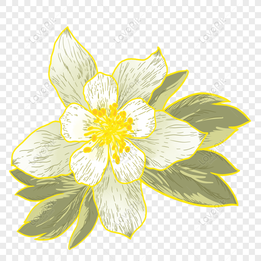 Gratis Dibujado A Mano De Dibujos Animados De Orquídeas Blancas Element PNG  & PSD descarga de imagen _ talla 2000 × 2000px, ID 832497902 - Lovepik