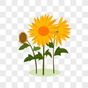 Free Free 187 Clipart Sunflower Seeds Png SVG PNG EPS DXF File