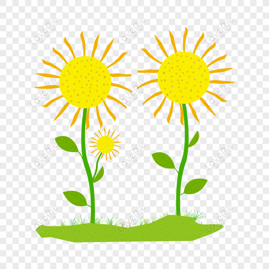 Gratis Bunga Yang Ditarik Tangan Kartun Bunga Matahari Sederhana